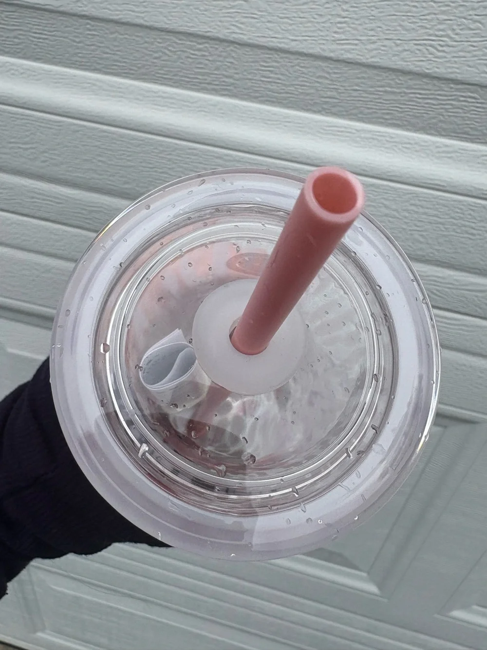 Starbucks Pink drink Strawberry Glass Tumblers Cold Cup with pink Straw 2026